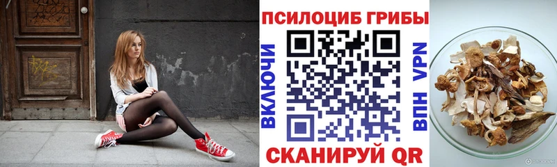 Купить закладки  Малаховка  Галлюциногенные грибы MAGIC MUSHROOMS 