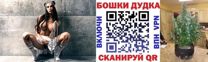 Купить закладки  Малаховка  Марихуана план 